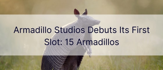Armadillo Studios debiutuje na swoim pierwszym gnieździe: 15 Armadillos